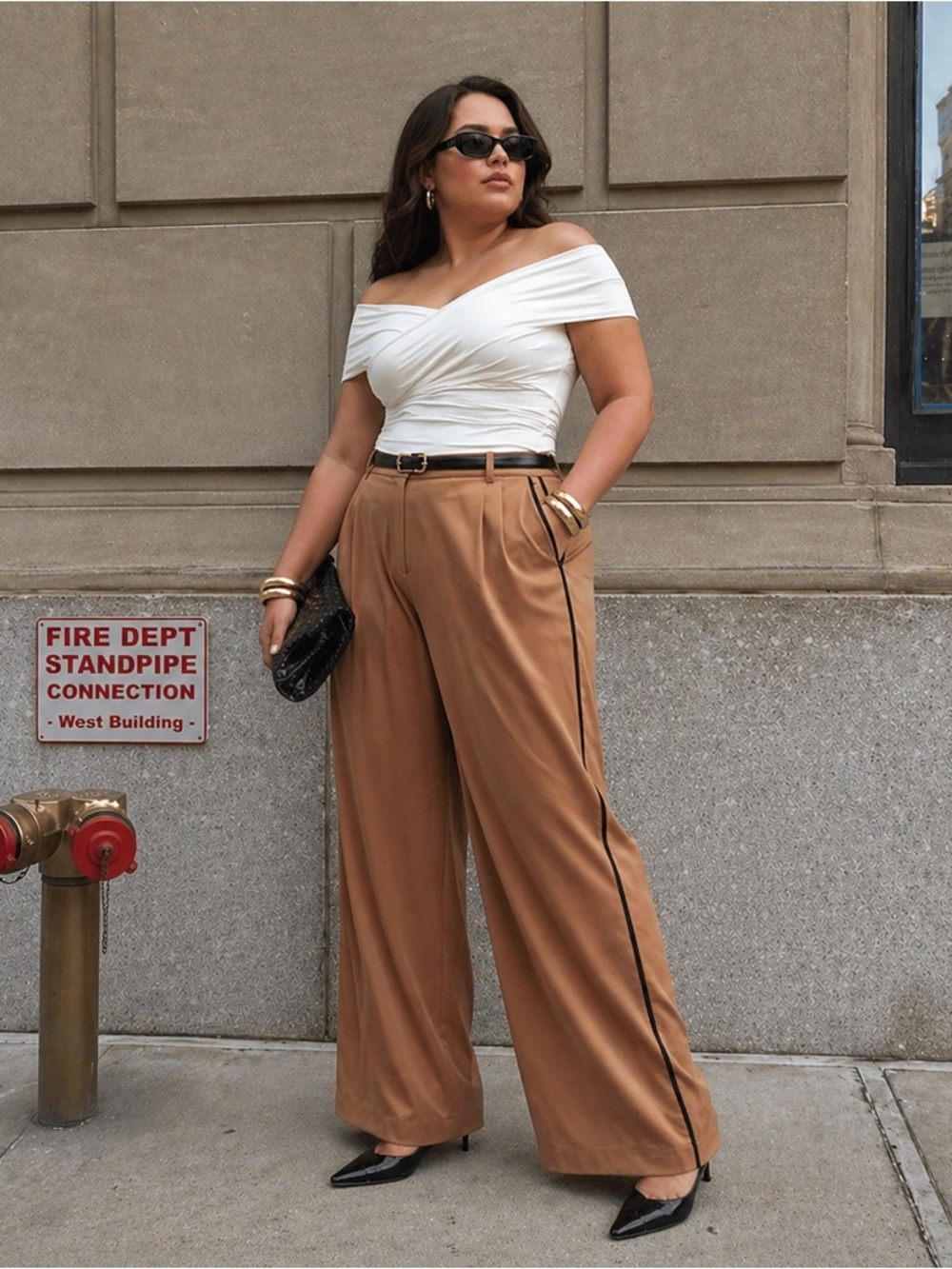 Lane Bryant Wide Leg Pants Size 28 Tan Brown High Rise Elastic Back Side Stripe
